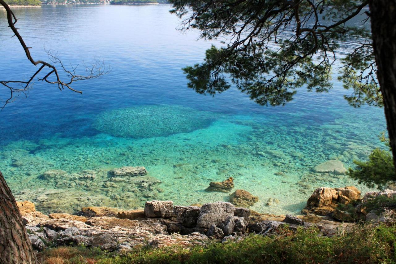 Apartments By The Sea Ubli, Lastovo - 8354 Eksteriør billede
